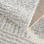 Trunding Plush Area Rug in Gray