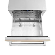 ZLINE 24" Touchstone 168 Can Outdoor-Rated Dual Refrigerator Drawer, Panel Ready, RDSPO-24
