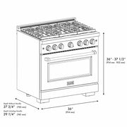 ZLINE 36"Paramount Dual Fuel Range DuraSnow® Stainless Steel SDRS-36