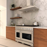 ZLINE 48"Gas Range, Convection Gas Oven , DuraSnow® Stainless Steel, SGRS-48