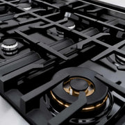 ZLINE 48" Select Gas Range Gas Convection Gas Oven Stainless Steel Black Matte Door HGR-BLM-48