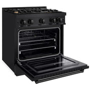 ZLINE 30" Classic Gas Range, Convection Gas Oven Black Stainless Steel Brass Burners, CGRB-BR-30