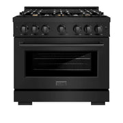 ZLINE 36" Select Gas Range Convection Gas Oven Black Stainless Steel Brass Burners HGRB-BR-36