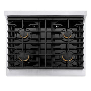 ZLINE 30"Paramount Dual Fuel Range DuraSnow® Brass Burners SDRS-BR-30