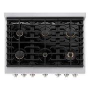 ZLINE 36"Gas Range, Convection Gas Oven , DuraSnow® Brass Burners, SGRS-BR-36