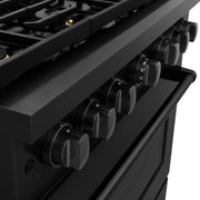 ZLINE 36"Paramount Dual Fuel Range Black Stainless Steel, Brass Burners SDRB-BR-36