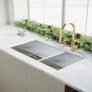 ZLINE Gemini Kitchen Faucet, GEM-KF-PG