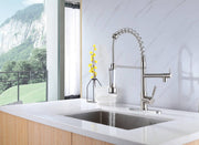Brushed nickel High Arc brass Kitchen Sink Faucet Pull Down metal Spray with deck plate and lock ring