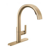 Delta Gold Kitchen Faucet