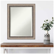 Lyla Ornate Silver 22.25 in. H x 28.25 in. W Framed Wall Mirror