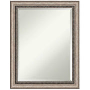Lyla Ornate Silver 22.25 in. H x 28.25 in. W Framed Wall Mirror