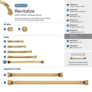 Revitalize Bronze Center Pull