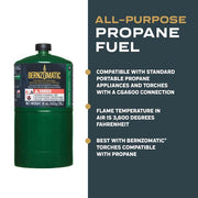 1 lb. All-Purpose Propane Gas Cylinder (2-Pack)