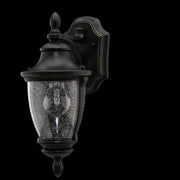 Wilkerson 14.13 in. 1-Light Black Outdoor Wall Lantern Sconce