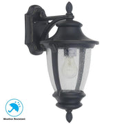 Wilkerson 14.13 in. 1-Light Black Outdoor Wall Lantern Sconce