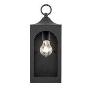 Tremont 10.3 in. 1-Light Black Outdoor Wall Light Fixture with Clear Glass
