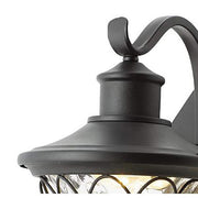 Avia Falls 14.5 in. Black Dusk to Dawn Large LED Outdoor Wall Light Fixture with Clear Water Glass