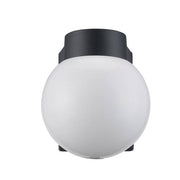 7 in. Black Outdoor Hardwired Wall Lantern Sconce with White Glass
