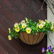 14 in. Dia Black Metal Growers Hanging Basket with Coco Liner