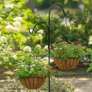 14 in. Dia Black Metal Growers Hanging Basket with Coco Liner