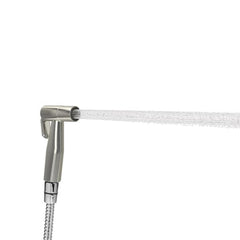 CleanSpa Handheld Bidet in Stainless Steel