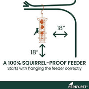 Squirrel-Be-Gone Squirrel-Resistant Metal Durable Wild Bird Feeder - 2 lb. Capacity