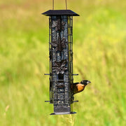 Squirrel-Be-Gone Squirrel-Resistant Metal Durable Wild Bird Feeder - 2 lb. Capacity