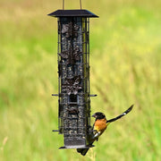 Squirrel-Be-Gone Squirrel-Resistant Metal Durable Wild Bird Feeder - 2 lb. Capacity