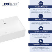Siena 20 in. W x 15 in. D x 6 in. H Wall Mounted Bathroom Sink w/ Overflow Hole and Faucet Hole in White Vitreous China