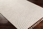 Dauin 3D Rainbow Area Rug with Tassels