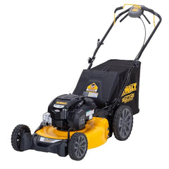 DEWALT 21 in. Gas Rear Drive Mower