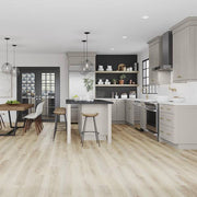 Shaker 24 in. W x 24 in. D x 34.5 in. H Assembled Base Kitchen Cabinet in Dove Gray with Ball-Bearing Drawer Glides