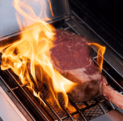 Eminence 405 | Chic Clearview® Smart Stainless Gas Grill