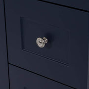 Bannister 25 in. Single Sink Deep Blue Bath Vanity with Colorpoint White Cultured Marble Top (Assembled)