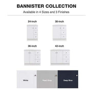 Bannister 25 in. Single Sink White Bath Vanity with Colorpoint White Cultured Marble Top (Assembled)