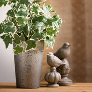 8" and 6.25" Gray Stone-Look Bird Finial Set (Set of 2)