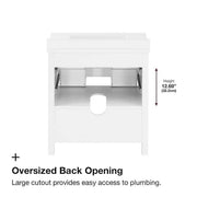 Autumn 30 in. Single Sink White Bath Vanity with White Engineered Stone Top (Assembled)