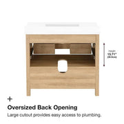 Autumn 36 in. Single Sink Weathered Tan Bath Vanity with White Engineered Stone Top (Assembled)