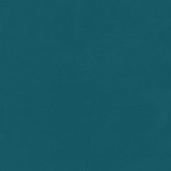 19 in. L x 46 in. W x 4 in. T Rectangular Outdoor Wicker Bench Cushion in Canvas Teal