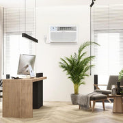 10,000 BTU 230V Through-the-Wall Air Conditioner Cools 450 Sq. Ft. with Heater in White