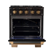 Kucht Gemstone Professional 30 in. 4.2 cu. ft. Natural Gas Range with Sealed Burners and Convection Oven in Titanium Stainless Steel KEG303