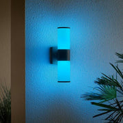 Hartford 14.25 in. Millennium Black Hardwired LED Smart Outdoor Cylinder Wall Light Powered by Hubspace