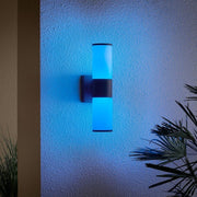 Hartford 14.25 in. Millennium Black Hardwired LED Smart Outdoor Cylinder Wall Light Powered by Hubspace