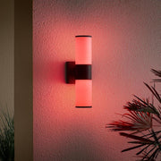 Hartford 14.25 in. Millennium Black Hardwired LED Smart Outdoor Cylinder Wall Light Powered by Hubspace