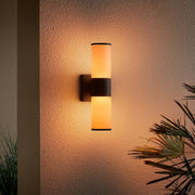 Hartford 14.25 in. Millennium Black Hardwired LED Smart Outdoor Cylinder Wall Light Powered by Hubspace