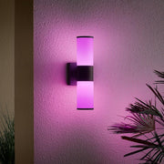 Hartford 14.25 in. Millennium Black Hardwired LED Smart Outdoor Cylinder Wall Light Powered by Hubspace