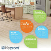 Overlook Slate 22 MIL x 11.9 in. W x 23.8 in. L Click Lock Waterproof Vinyl Tile Flooring (17.7 sqft/case)