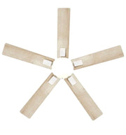 Hampton Bay 52 in. Corwin Indoor/Outdoor Matte White LED Ceiling Fan w/Light Kit
