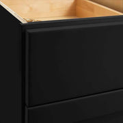 Avondale 18 in. W x 24 in. D x 34.5 in. H Ready to Assemble Plywood Shaker Base Kitchen Cabinet in Raven Black