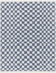 Kieu Blue & White Checkered Area Rug